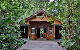 Rimba Orangutan Ecolodge